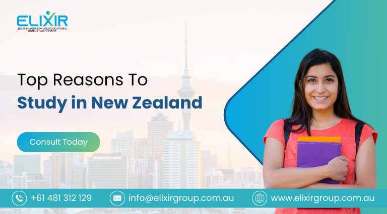 study in new zealand